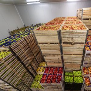 Adapting Floor Screeds for Cold Rooms and Freezers
