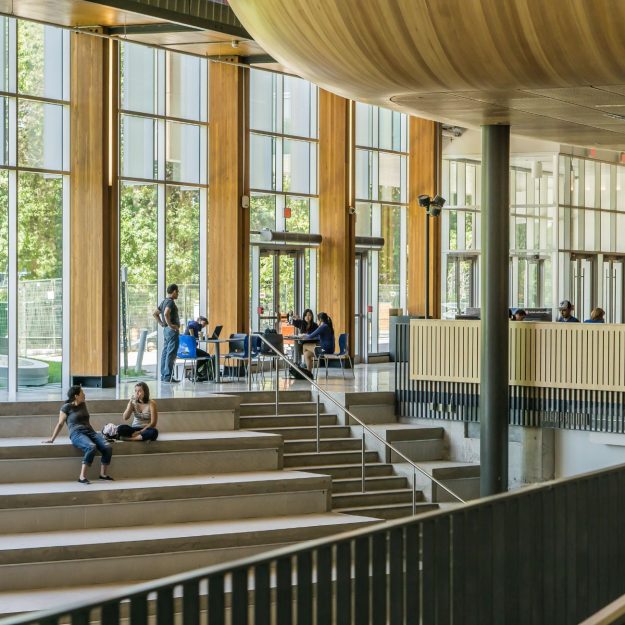 Why Screeding Matters in Universities: